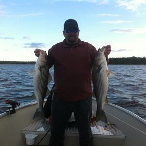 Meet your Posher, Carl